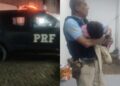 Policiais da PRF socorrem criança em convulsão a caminho da UPA da Sacramenta