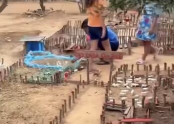 Vídeo de garotinho exibindo sua fazendinha artesanal encanta internautas nas redes sociais