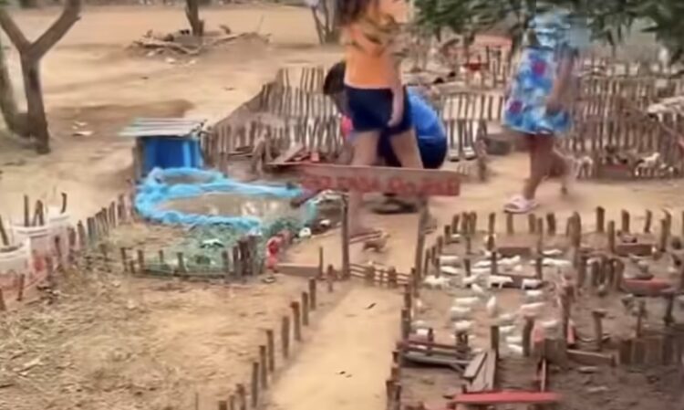 Vídeo de garotinho exibindo sua fazendinha artesanal encanta internautas nas redes sociais