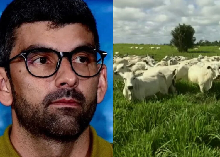 Máquina vs. Frente Anti-Barbalho”: o discurso e o cerco judicial ao prefeito de Ananindeua