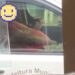 Funcionário público é flagrado se masturb@nd0 dentro de carro da prefeitura em SC