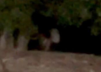 Casal é flagrado em momento íntimo na praia em frente aos transatlânticos da COP30