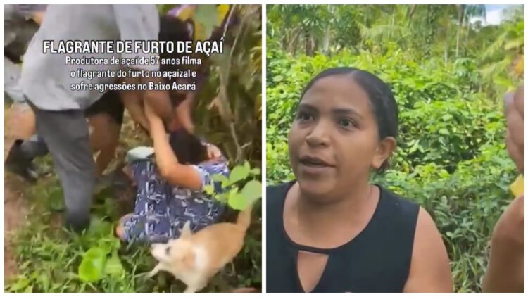 Produtora rural é agredida no próprio terreno e tem plantação de açaí furtada no Baixo Acará