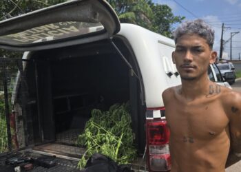 Homem é preso por manter plantação de maconha no quintal e monitorar viaturas com drone