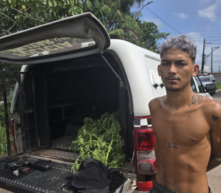 Homem é preso por manter plantação de maconha no quintal e monitorar viaturas com drone
