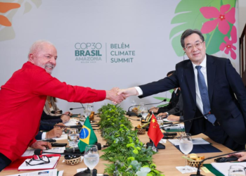 China não aceita investir em Fundo de Florestas Tropicais