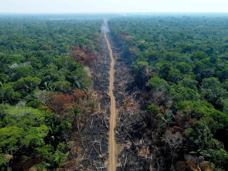 Governo e BNDES anunciam projeto para frear o desmatamento da Amazônia