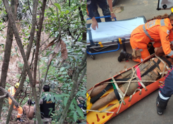 Homem cai em buraco e sobrevive quatro dias no local comendo mangas em MG