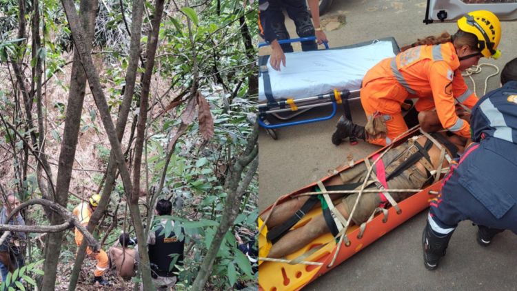 Homem cai em buraco e sobrevive quatro dias no local comendo mangas em MG