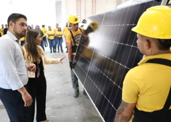 Franquia paraense de energia solar acumula prejuízos e vira alvo de denúncias