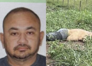 Servidor penitenciário é ex3cutado a tir0s em área de mata de Ananindeua