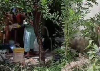 Mulher é presa após agredir brutalmente a própria irmã com deficiência em Igarapé-Miri