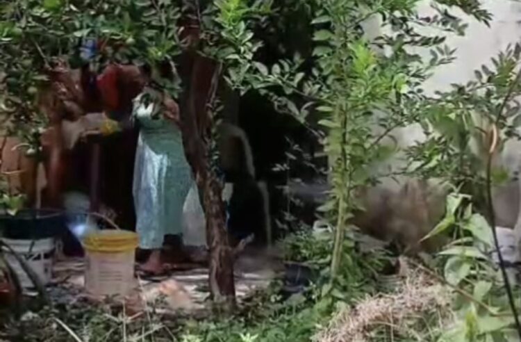 Mulher é presa após agredir brutalmente a própria irmã com deficiência em Igarapé-Miri