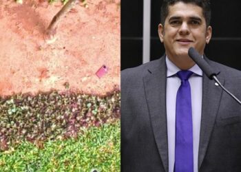 Veja imagens: deputado ‘Antônio Doido’ joga celulares pela janela durante operação da PF