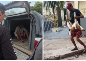 Carroceiro é preso após dar pedrada em cachorro em Icoaraci