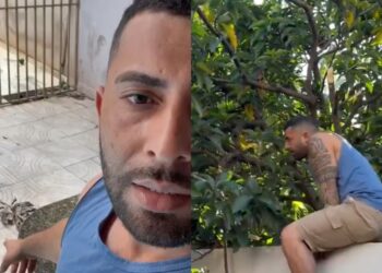 “Quer me botar medo só porque o filho dela escutam Oruam”. Briga entre vizinhos por árvore ultrapassando muro repercute na web