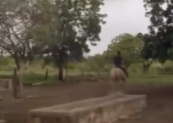 Cavalo recua segundos antes de raio atingir o local e homem escapa por pouco na Bahia