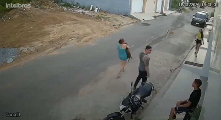 Mulher é agredida por dono de pitbull ao tentar proteger cães durante confusão