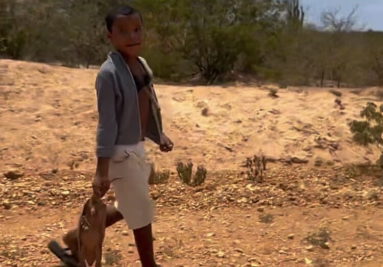 R$ 300 por um tatu-peba: relato de menino sobre fome e vulnerabilidade comove quem viu