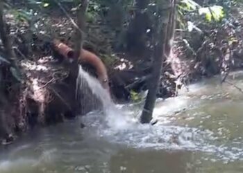 Moradora relata possível despejo irregular de esgoto em igarapé do rio Apeú, em Castanhal