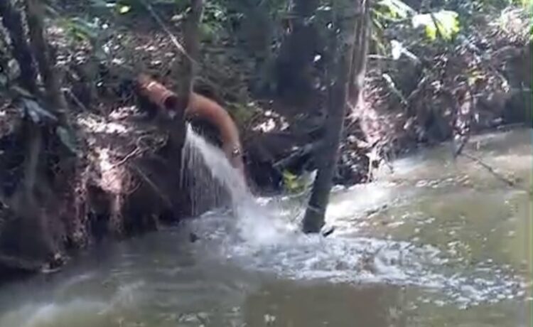 Moradora relata possível despejo irregular de esgoto em igarapé do rio Apeú, em Castanhal