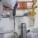 Vídeo flagra ratos circulando entre pacientes em hospital público na Índia