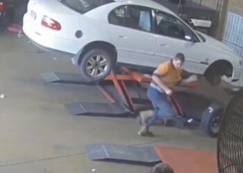 Troca de pneu vira cena de tensão após mecânico encontrar cobra em veículo