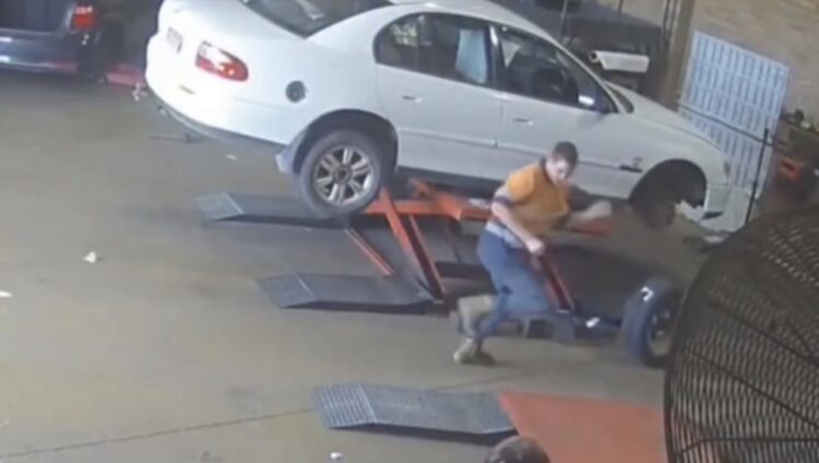 Troca de pneu vira cena de tensão após mecânico encontrar cobra em veículo