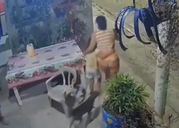 Criança passa mal após consumir açaí com lesma em Mosqueiro