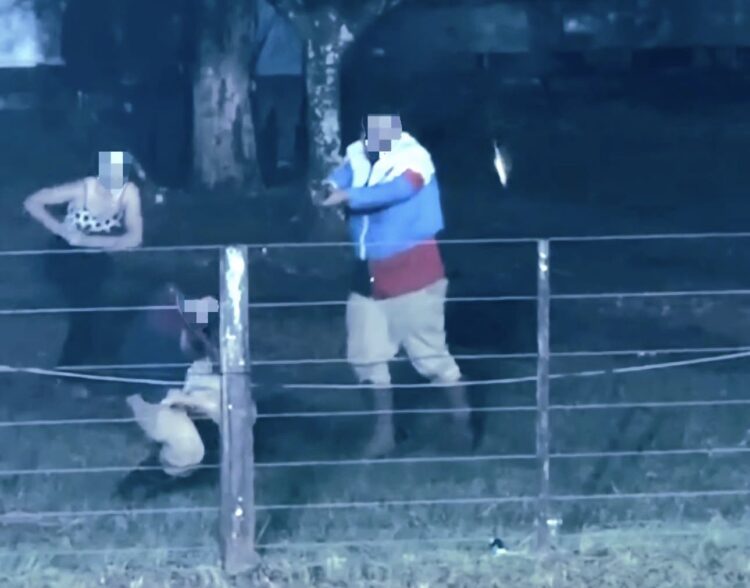 Homem invade rodeio e mata atual da ex-namorada a tiros no Rio Grande do Sul