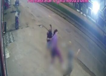 Mulher reage a agressão contra gato de rua em Capitão Poço, no Pará