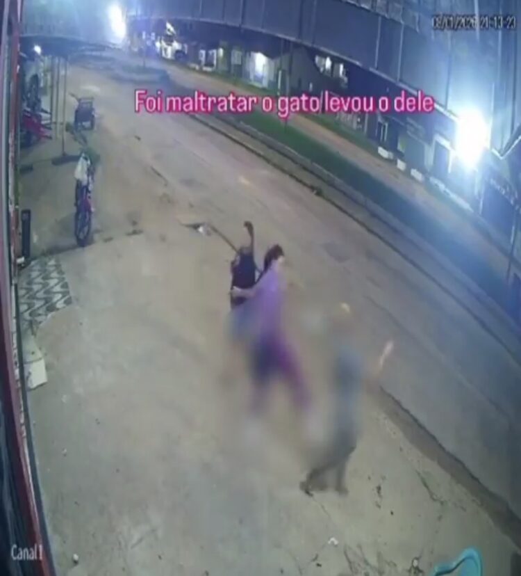 Mulher reage a agressão contra gato de rua em Capitão Poço, no Pará