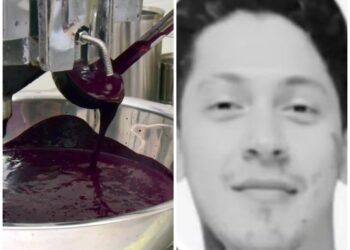 Jovem de 26 anos morre vítima de doença de Chagas em Ananindeua; investigação envolve pontos de venda de açaí