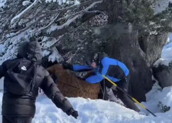 Brasileiro fantasiado é espancado por grupo em estação de esqui na França