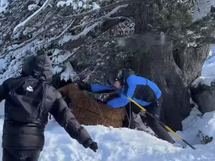 Brasileiro fantasiado é espancado por grupo em estação de esqui na França