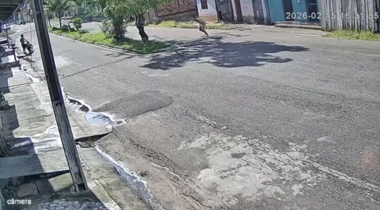 Câmeras registram tentativa de homicídio na Travessa 24 de Outubro, na Matinha
