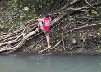 Bote inesperado: homem é surpreendido por cobra ao sair do rio