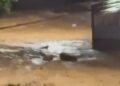 Caixões de funerária são arrastados por enxurrada em Ubá, Minas Gerais