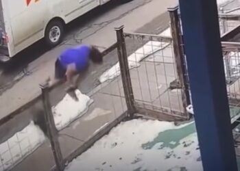 Jovem pula em quintal para escapar de cão bravo e se arrepende