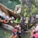 Ponte desaba durante apresentação de Sereia e deixa vários adultos e crianças feridos em área turística de Rondônia
