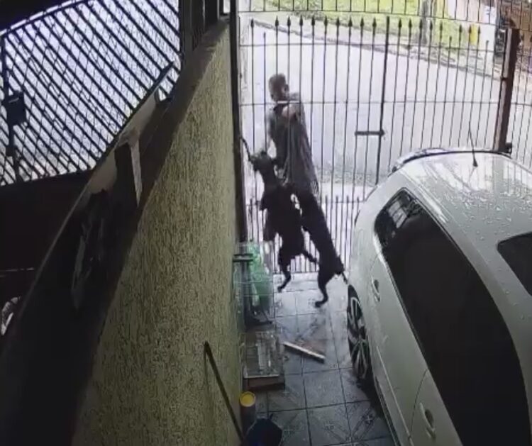 Homem é mordido por cachorro ao tentar furtar objeto em garagem