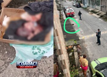 Corpo de bebê é encontrado abandonado dentro de caixa de papelão no bairro Jaderlândia, em Ananindeua