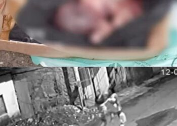 Vídeo mostra mulher que abandonou bebê em caixa de papelão em Ananindeua; suspeita já foi presa