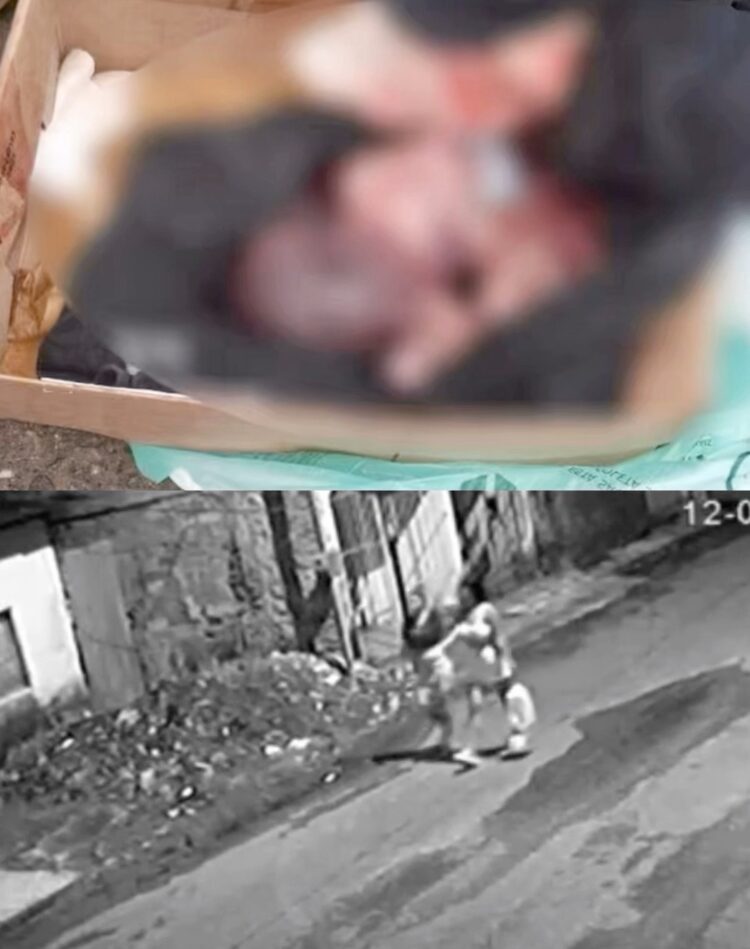 Vídeo mostra mulher que abandonou bebê em caixa de papelão em Ananindeua; suspeita já foi presa
