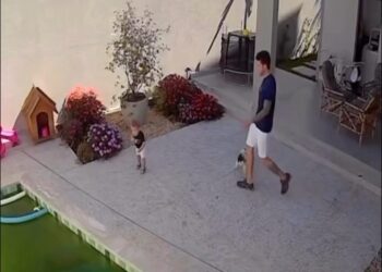 Criança de 1 ano cai na piscina e é salva após cadela alertar a família; Assista