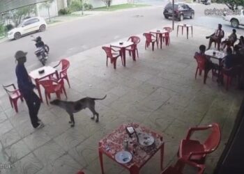 Adolescente de 15 anos é executado a tiros em lanchonete diante de colegas, em Mato Grosso