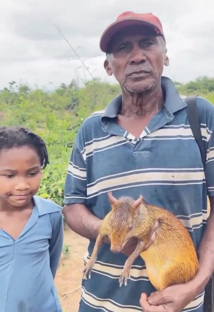 Jovem oferece R$ 200 a homem soltar cutia que seria usada para ‘alimentar a família’