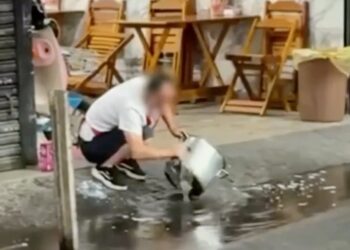 Homem chama atenção ao lavar panelas com água de poça no bairro do Brás, em São Paulo