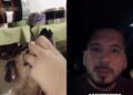 Adolescentes gravam vídeo obrigando cachorro a beber álcool e caso gera revolta nas redes