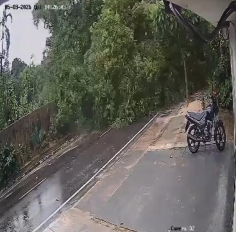 Árvore centenária cai e derruba poste no bairro do Bengui